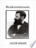 Brakenstroom