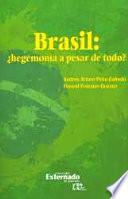 Brasil: ¿hegemonía a pesar de todo?