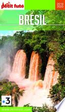 BRÉSIL 2019/2020 Petit Futé