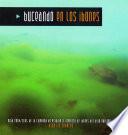 Buceando en los ibones. 1. Asnos y Sabocos.