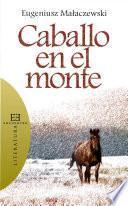Caballo en el monte