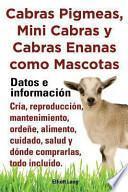 Cabras Pigmeas, Mini Cabras Y Cabras Enanas Como Mascota. Datos E Informacion. Cria, Reprodu