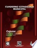 Cajeme estado de Sonora. Cuaderno estadístico municipal 1997