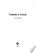 Camino a Acteal