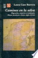 Caminos en la selva