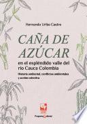 Caña de azúcar en el espléndido valle del río Cauca,