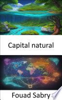 Capital natural