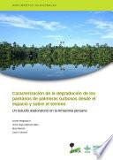 Caracterización de la degradación de los pantanos de palmeras turbosos desde el espacio y sobre el terreno