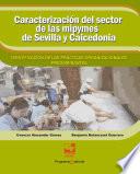 Caracterización del sector de las mipymes de Sevilla y Caicedonia: