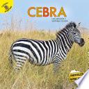 Cebra