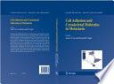 Cell Adhesion and Cytoskeletal Molecules in Metastasis