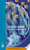 Células Madre: la madre de todas las células