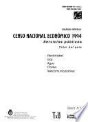 Censo Nacional Economico 1994