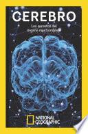 Cerebro