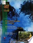 Chile forestal