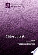 Chloroplast