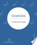 Cicatrices