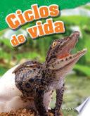 Ciclos de vida