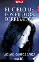 Libro Cielo de pilotos derribados