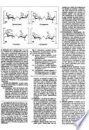 Ciencia e investigación