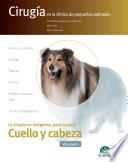 Cirugía en la clínica de pequeños animales. Cuello y cabeza. Vol. I