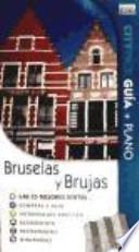 CITYPACK BRUSELAS Y BRUJAS 2010