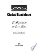 Ciudad Guadalupe