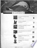 Códice