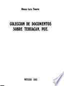 Colección de documentos sobre Tehuacán, Pue