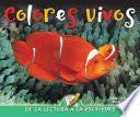 Colores vivos