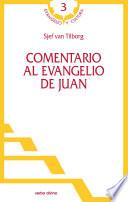 Comentario al evangelio de Juan