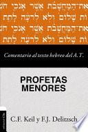 Comentario Al Texto Hebreo del Antiguo Testamento - Profetas Menores