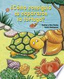 Como Consiguio Su Caparazon La Tortuga?