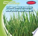 ¿Cómo crece el pasto? / How Does Grass Grow?