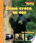 Como Crece Un Oso