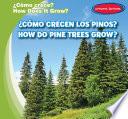 ¿Cómo crecen los pinos? / How Do Pine Trees Grow?