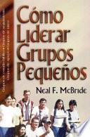 Como Liderar Grupos Pequenos