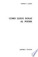 Como llegó Rosas al poder