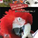 ¿Cómo usan los animales…? (How Do Animals Use…?)