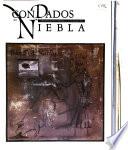 Con dados de niebla