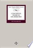 Conceptos básicos de derecho procesal civil