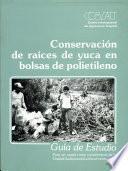 Conservacion de raices de yuca en bolsas de polietileno