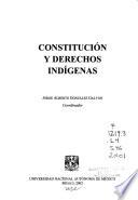 Constitución y derechos indígenas