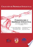 Constitución y propiedad intelectual