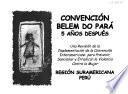 Convención Belem do Pará, 5 anos después