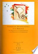 Cooperación macroeconómica en el MERCOSUR