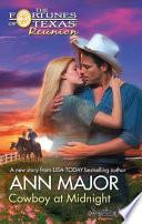 Cowboy at Midnight
