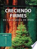 Creciendo Firmes En La Familia de Dios: Un Curso de Discipulado Para Fortalecer Su Caminar Con Dios