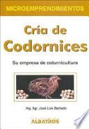 Cria de Codornices