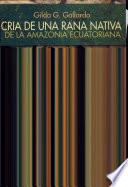 Cría de una rana nativa de la amazonía ecuatoriana